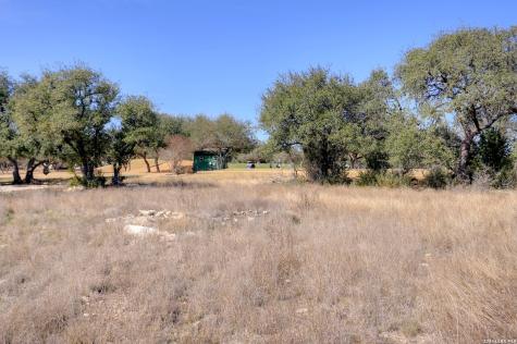 425 George Dolson Blanco TX 78606