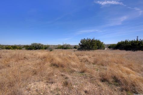 425 George Dolson Blanco TX 78606