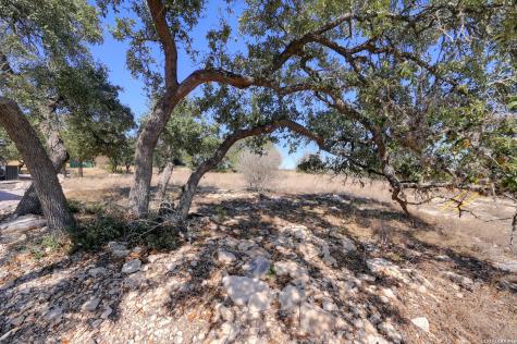 425 George Dolson Blanco TX 78606