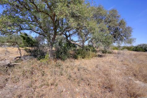 425 George Dolson Blanco TX 78606
