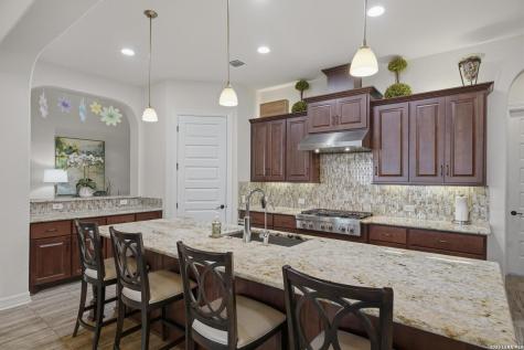 19506 Cresta Alto San Antonio TX 78256