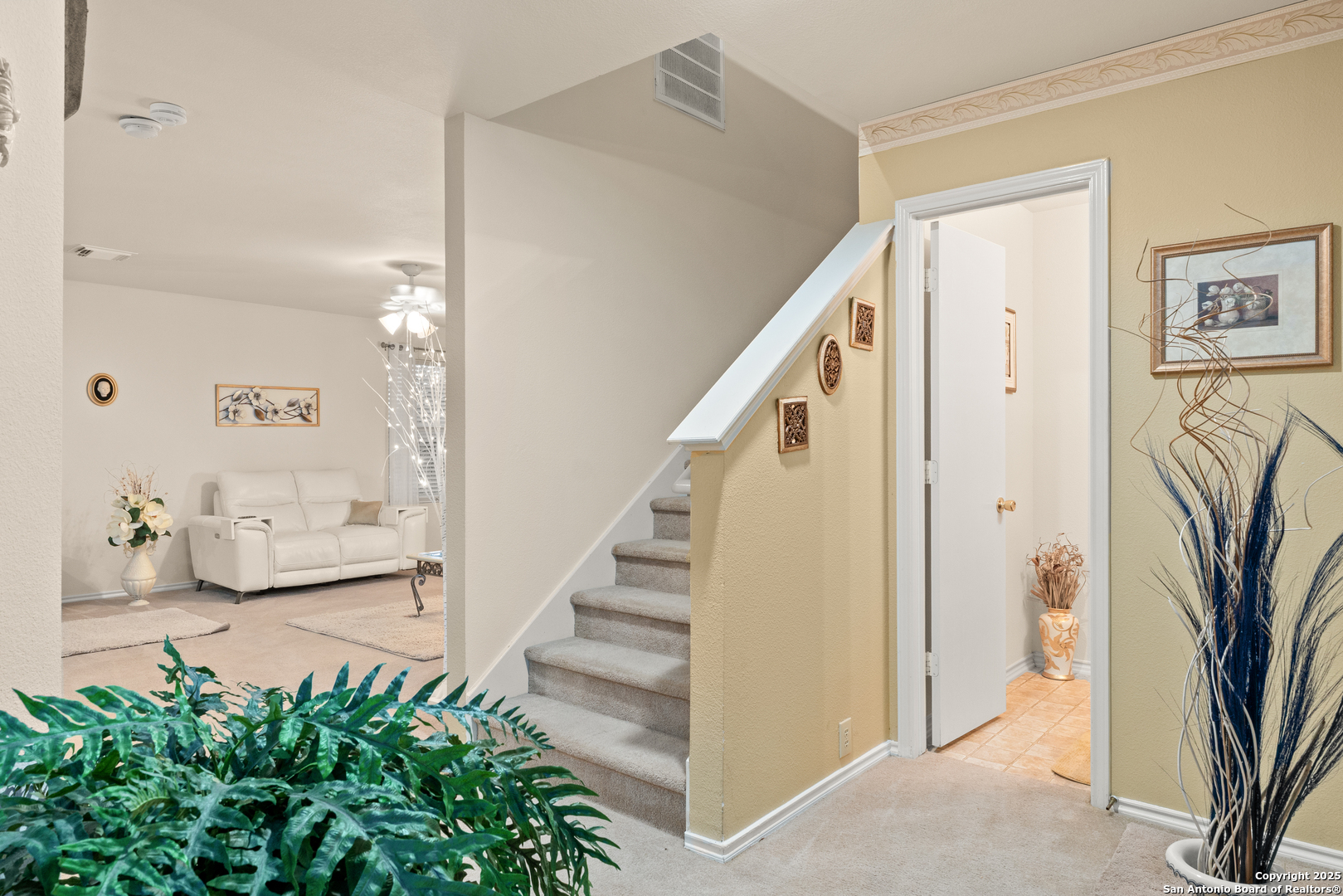 4919 Orchid Star San Antonio TX 78218