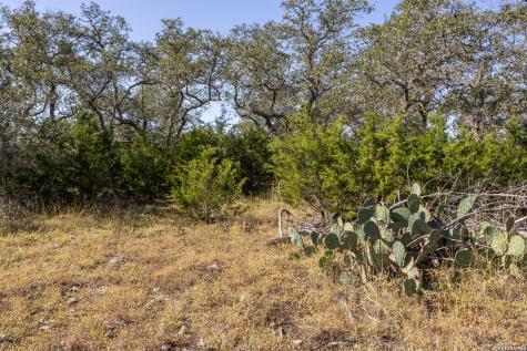 Block 1, Lot 14 Standing Tall Boerne TX 78006