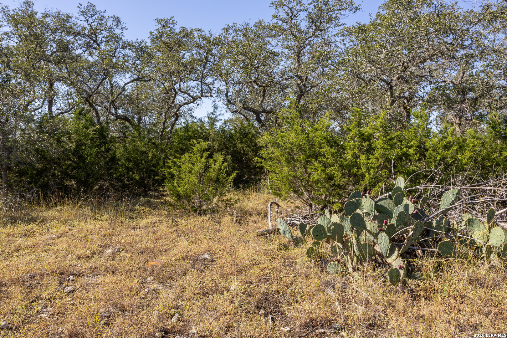 Block 1, Lot 14 Standing Tall Boerne TX 78006