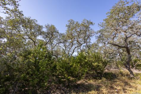 Block 1, Lot 14 Standing Tall Boerne TX 78006