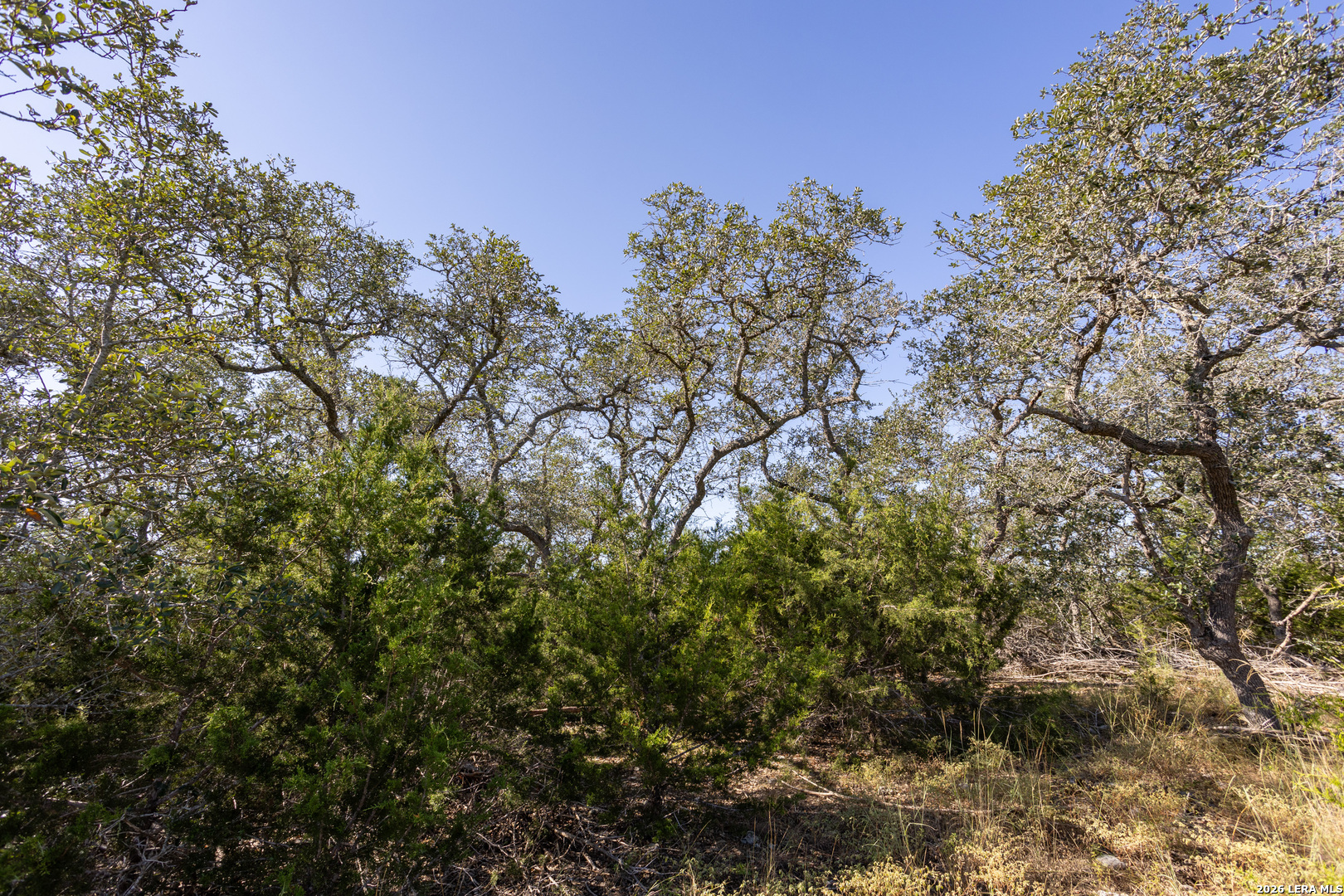 Block 1, Lot 14 Standing Tall Boerne TX 78006