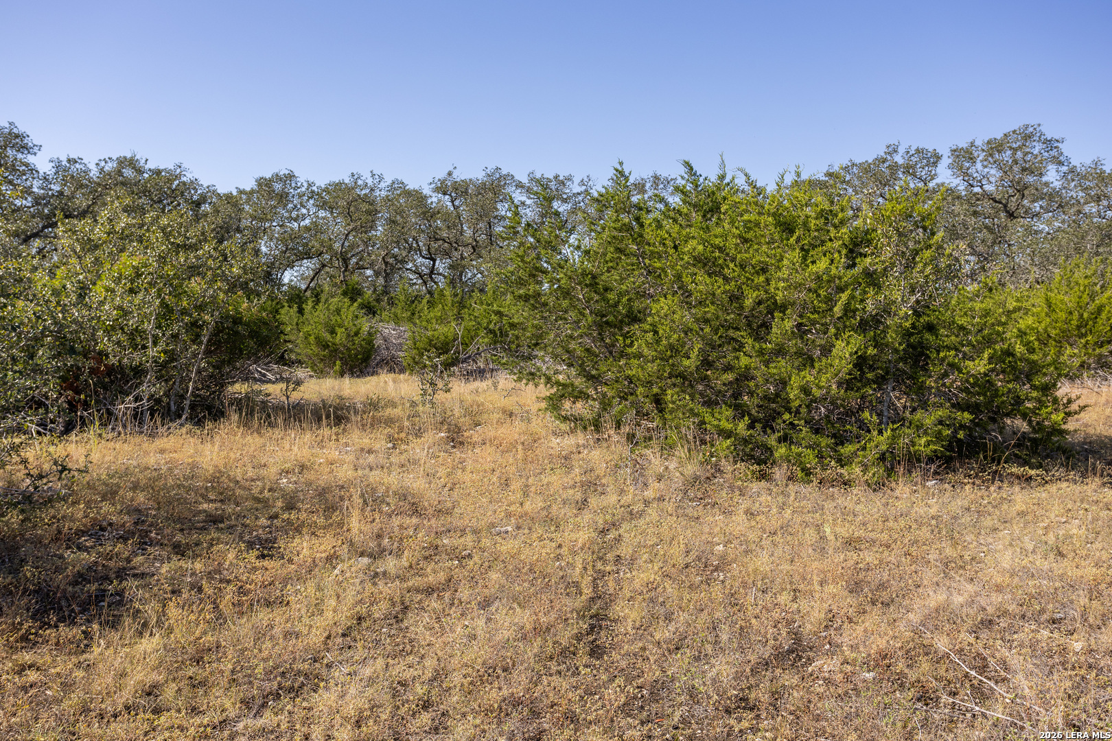 Block 1, Lot 14 Standing Tall Boerne TX 78006