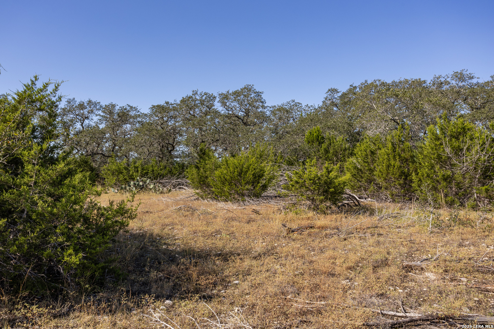 Block 1, Lot 14 Standing Tall Boerne TX 78006