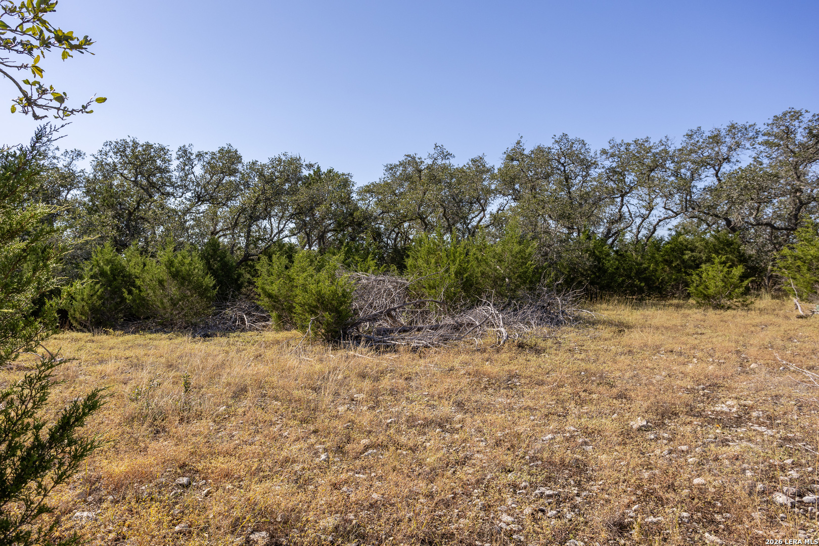 Block 1, Lot 14 Standing Tall Boerne TX 78006