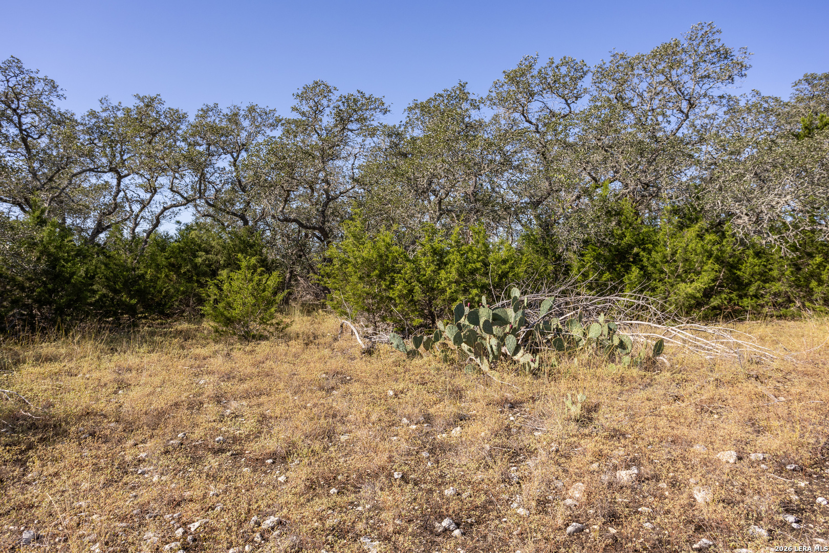 Block 1, Lot 14 Standing Tall Boerne TX 78006