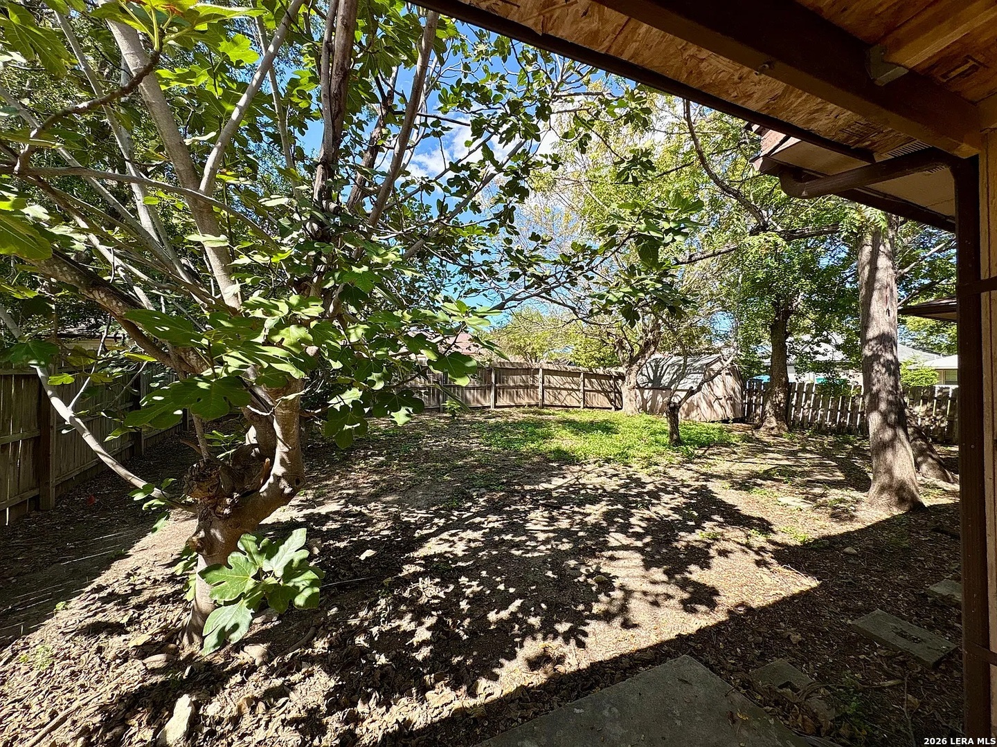 8131 Forest Dawn Live Oak TX 78233