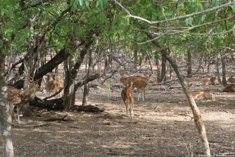 Lot 23 Cypress Bandera TX 78003