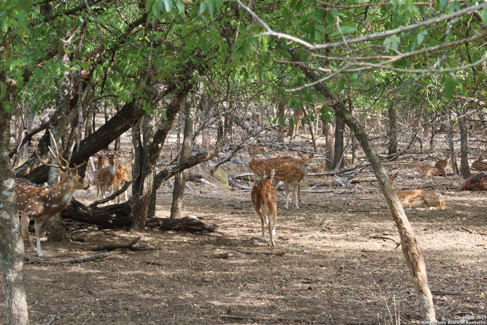 Lot 23 Cypress Bandera TX 78003