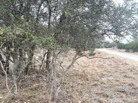 Lots 3-4 Quail Run Bandera TX 78003
