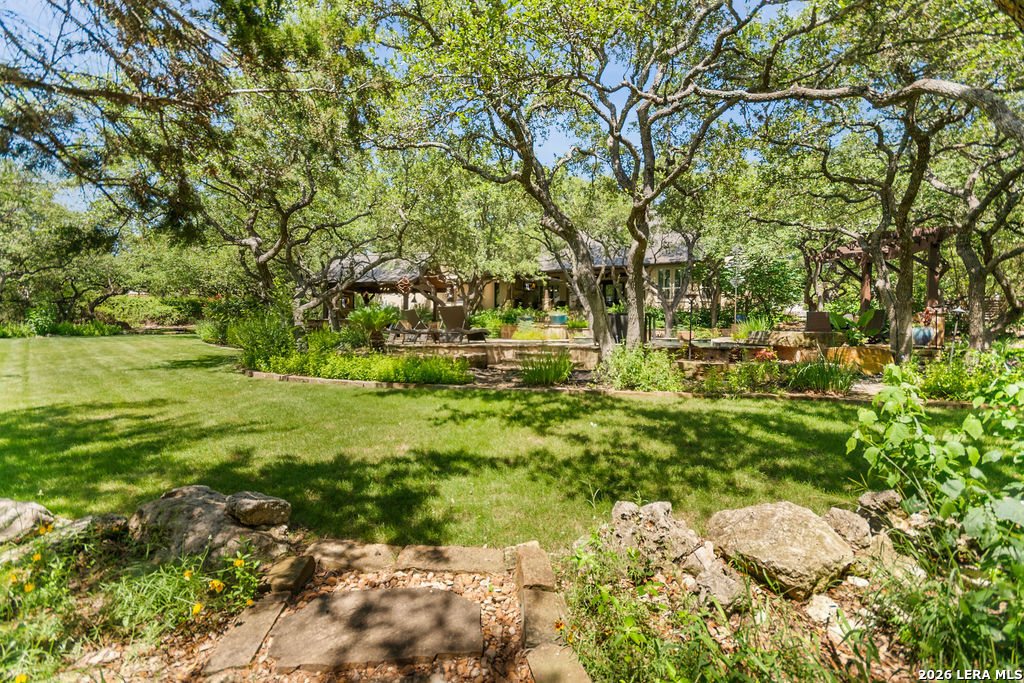 25 Stone Terrace Fair Oaks Ranch TX 78015