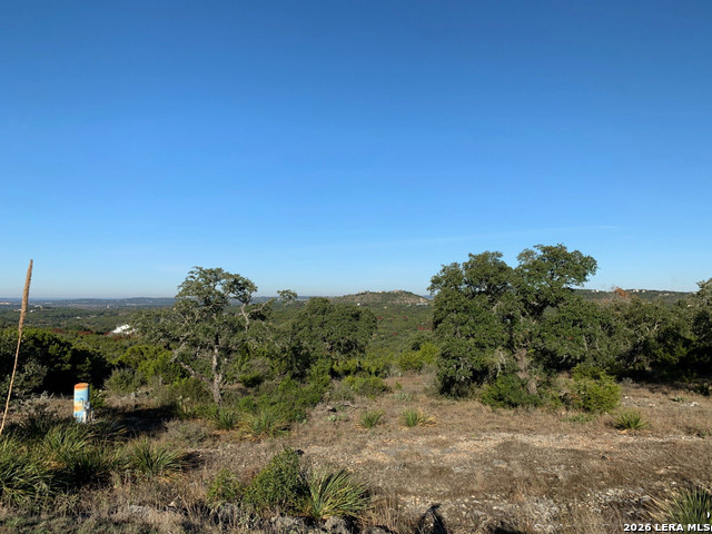 30263 Cloud View Drive Bulverde TX 78163