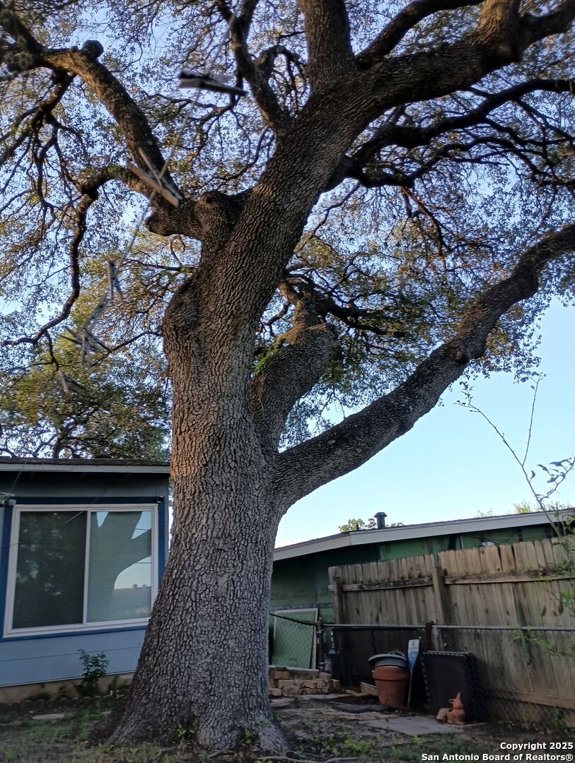 714 Blakeley San Antonio TX 78209