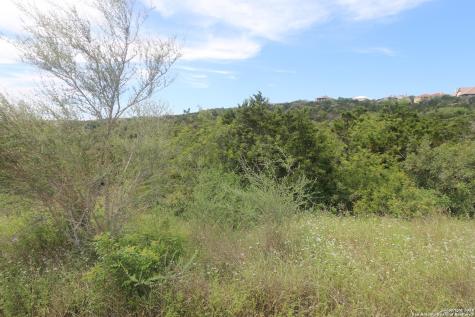 14155 Iron Horse Way Helotes TX 78023