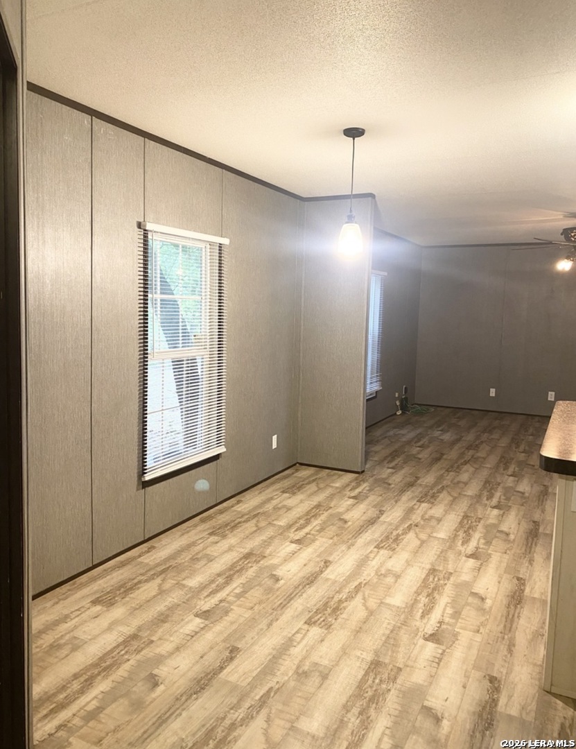 404 Hollow Oak La Vernia TX 78121