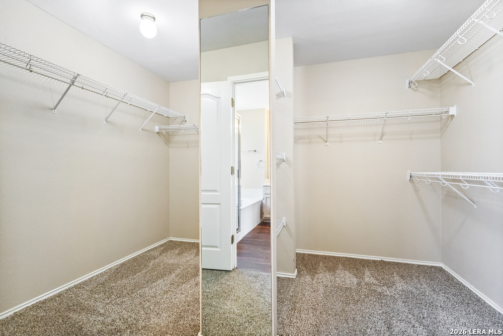 10635 Cat Mountain San Antonio TX 78251