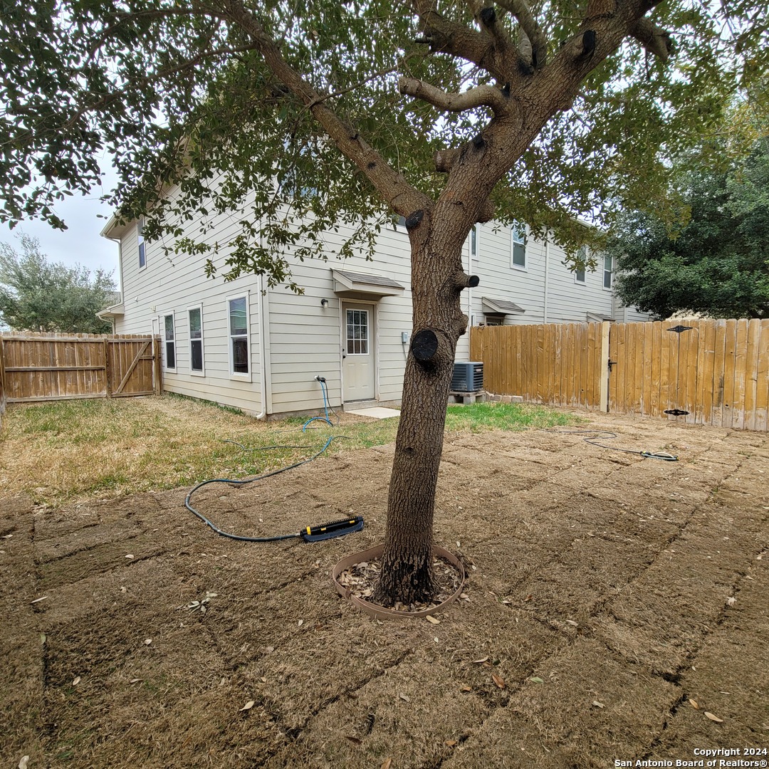 16815 Dancing Ava Selma TX 78154