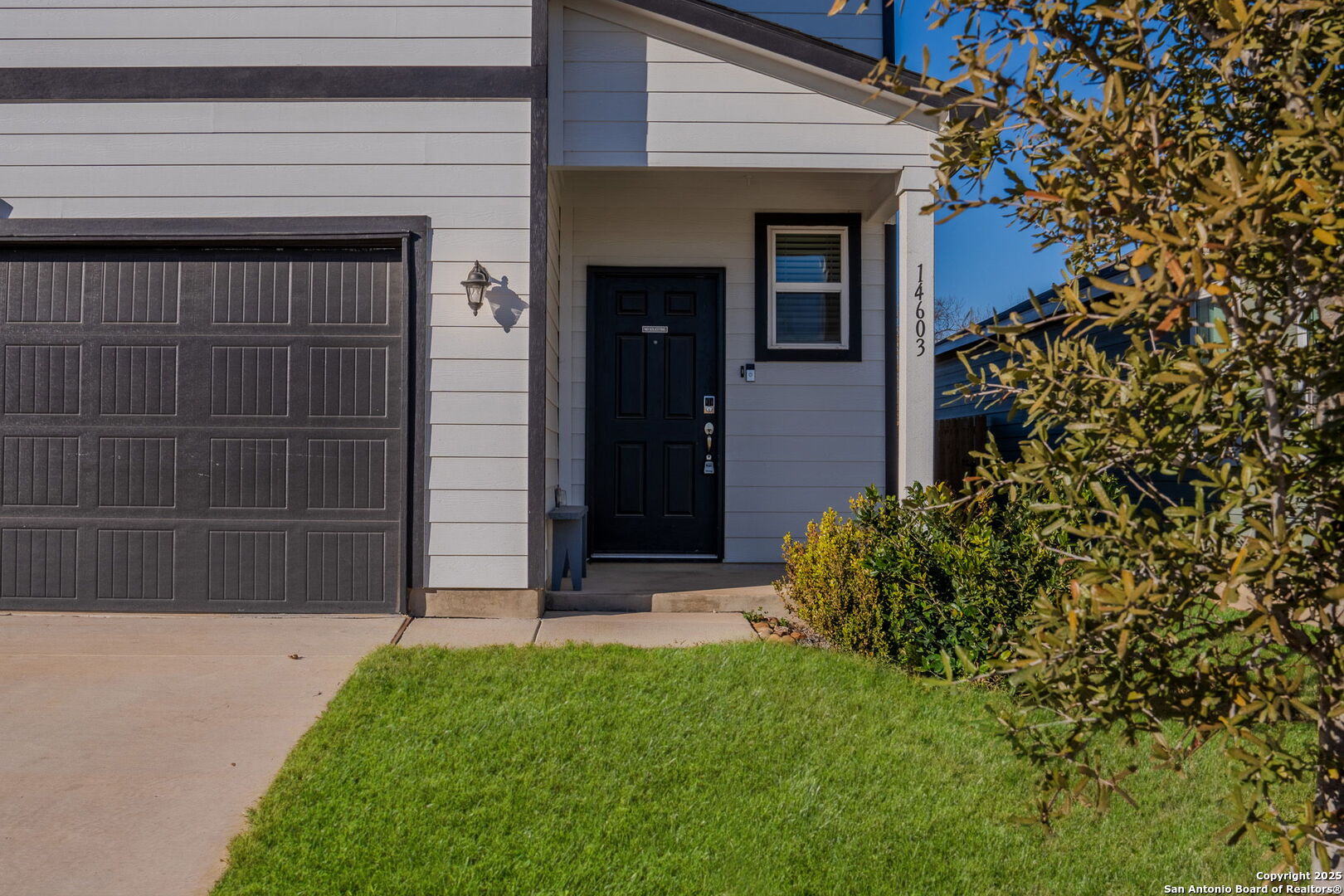 14603 Emerio Drive San Antonio TX 78253