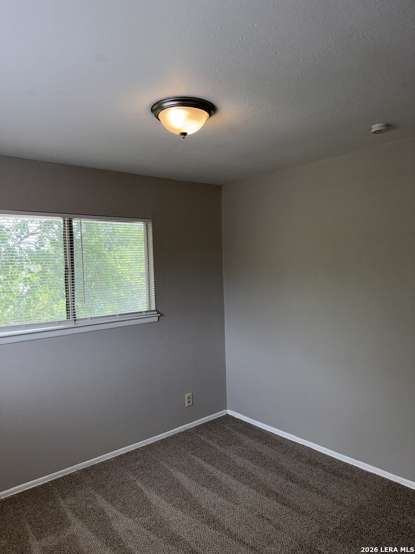 8111 Rain Forest Drive San Antonio TX 78239