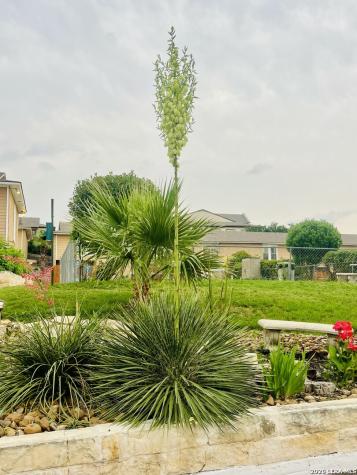 7322 Oak Manor Drive San Antonio TX 78229
