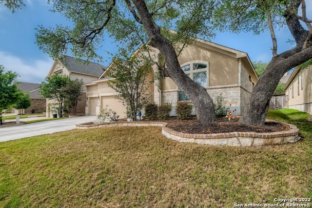 11338 Ivy Cadence San Antonio TX 78253