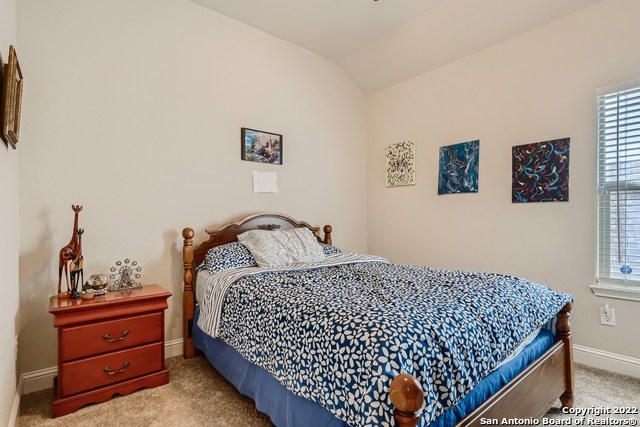 11338 Ivy Cadence San Antonio TX 78253