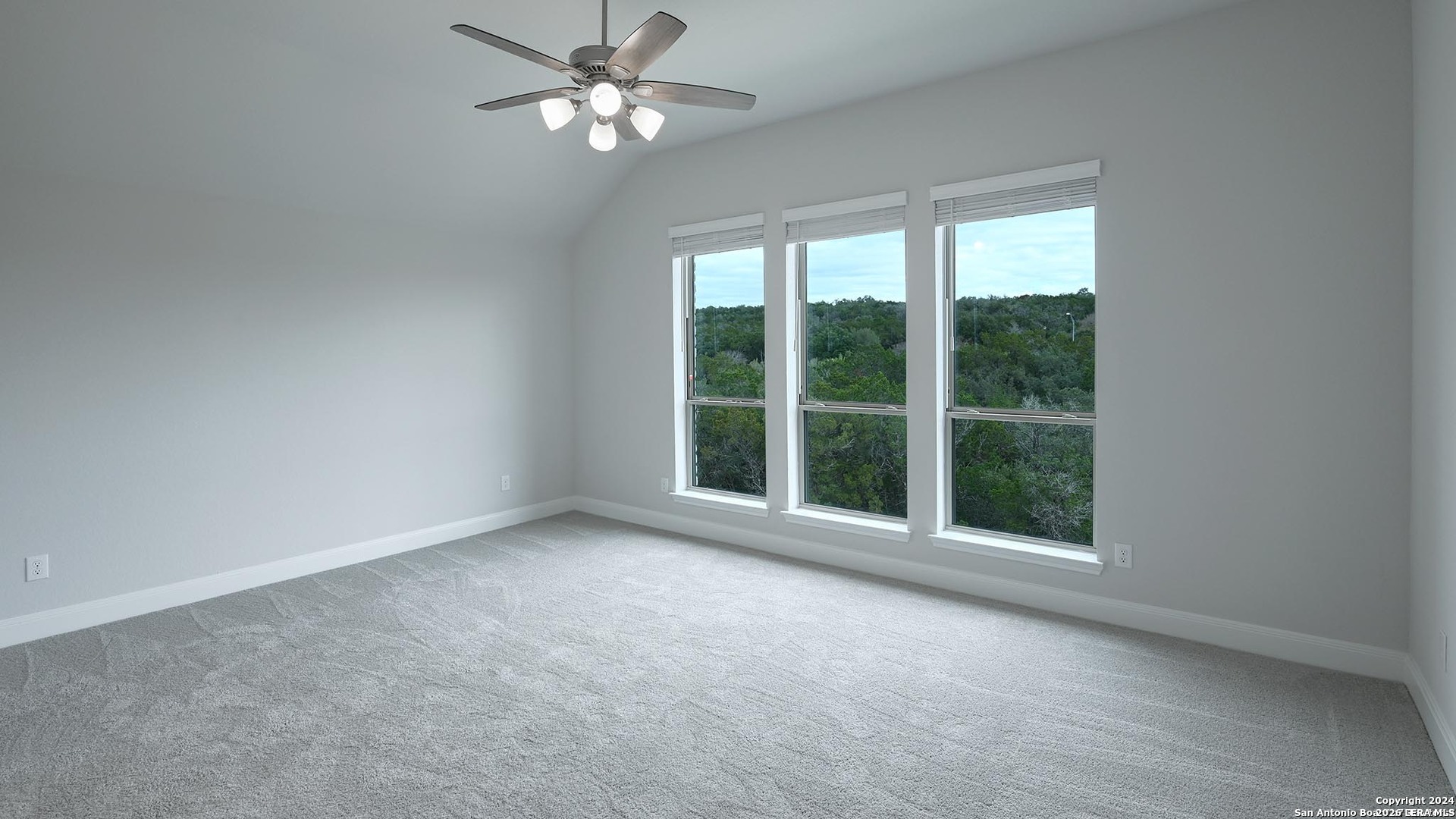24126 Sidehill Lie San Antonio TX 78261
