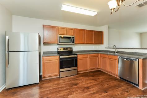 7811 Caballo Canyon San Antonio TX 78244