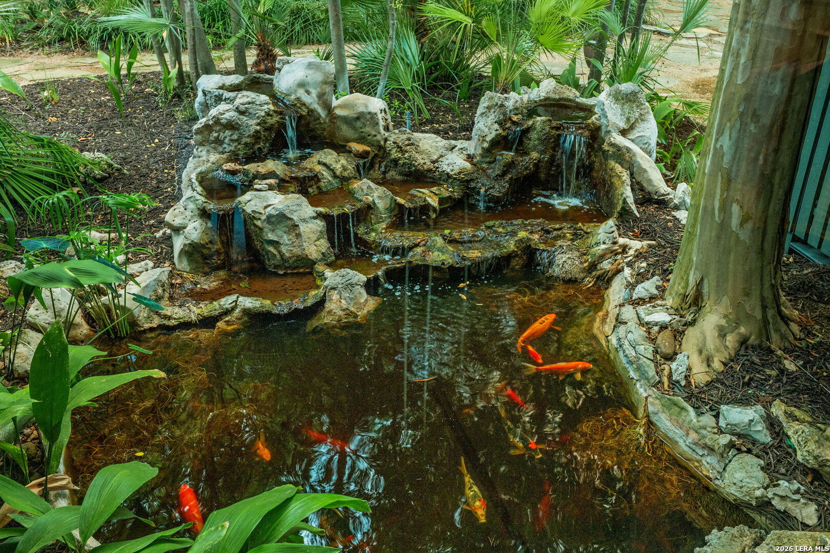 404 Sheraton Drive San Antonio TX 78209