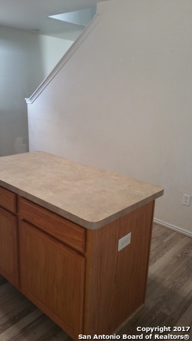 9722 Liberty Green San Antonio TX 78245