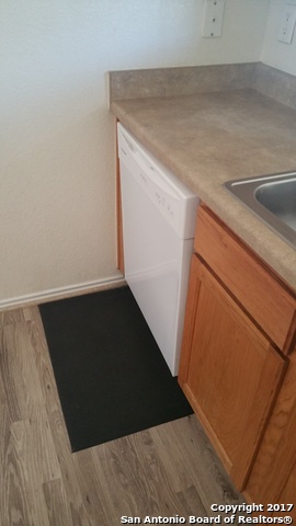 9722 Liberty Green San Antonio TX 78245