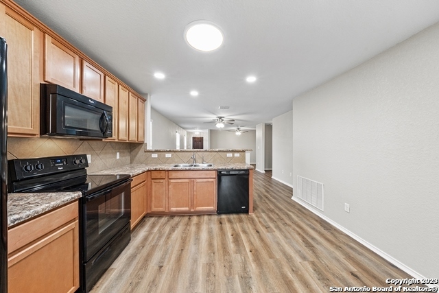 10134 Castello Canyon San Antonio TX 78254