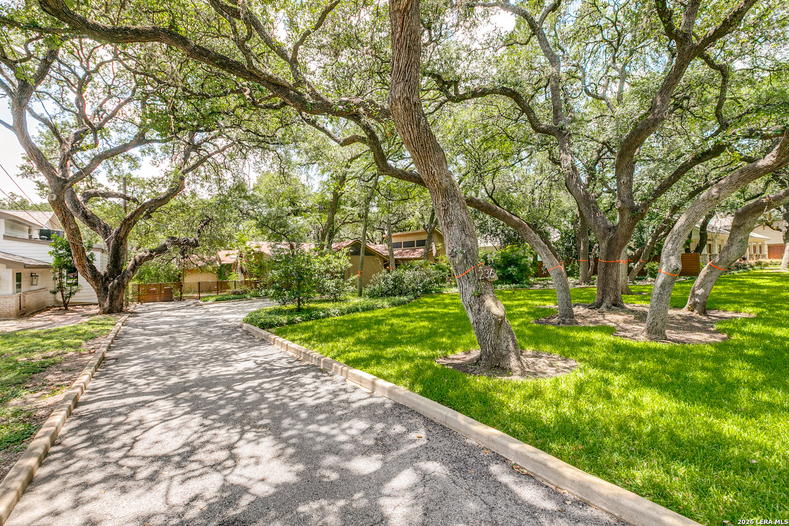 236 Castano Alamo Heights TX 78209