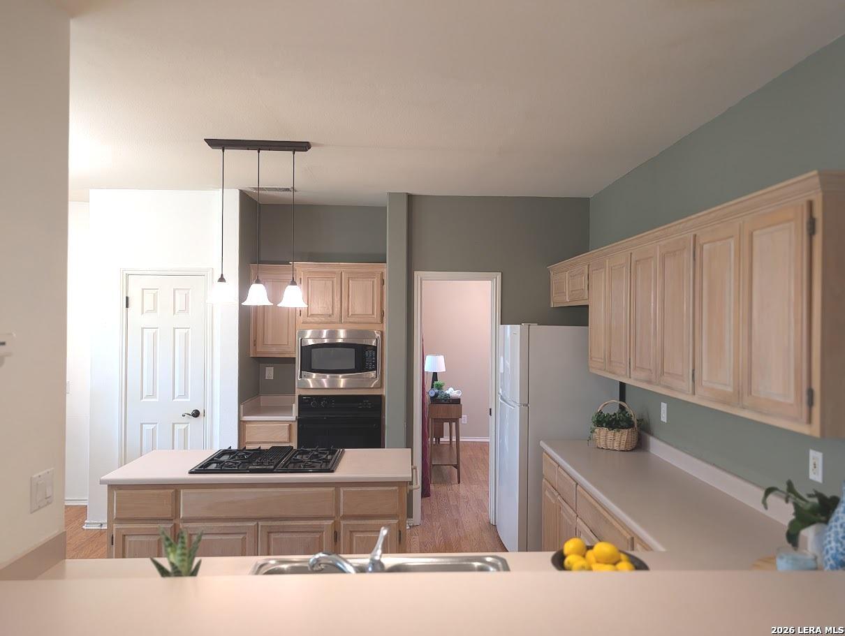 14223 Butlers Bridge San Antonio TX 78232