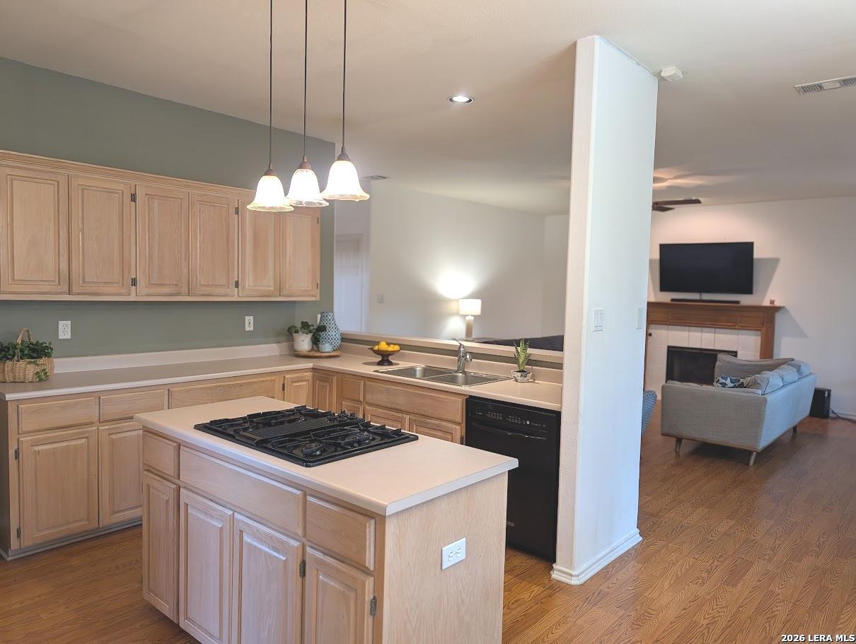 14223 Butlers Bridge San Antonio TX 78232