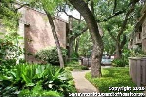 2935 Nacogdoches Road San Antonio TX 78217
