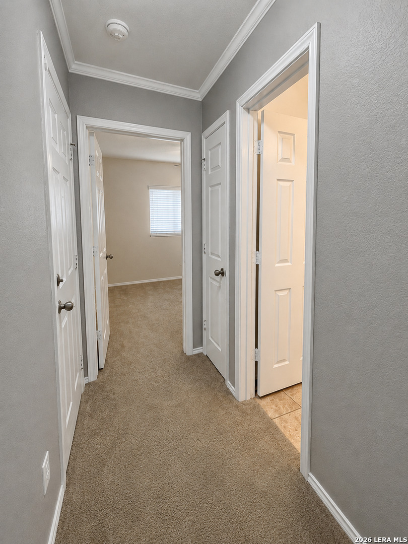 331 Palma Noce San Antonio TX 78253