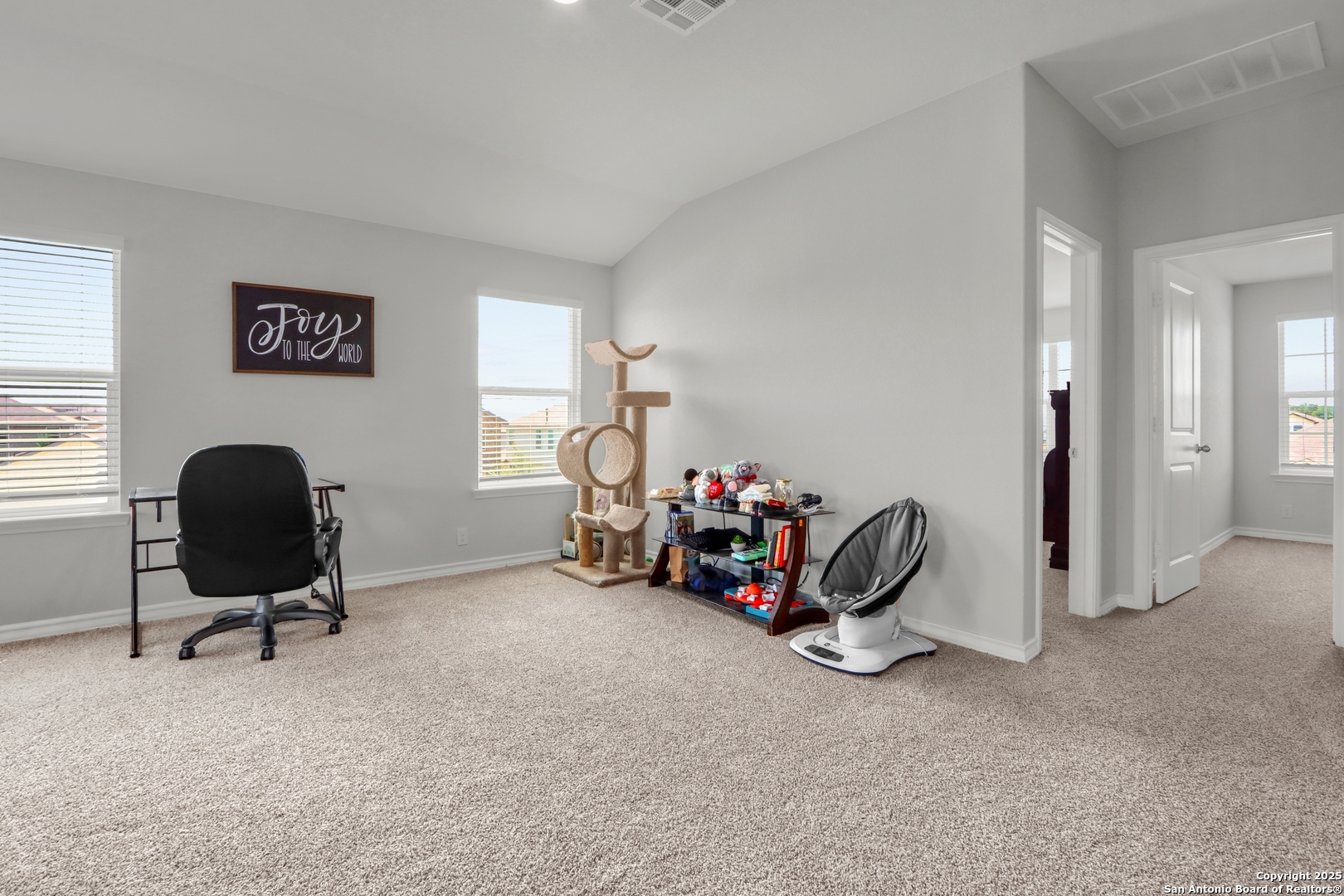 110 Spurfowl San Antonio TX 78253