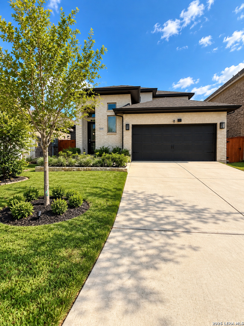 12675 Cotorra Springs San Antonio TX 78254