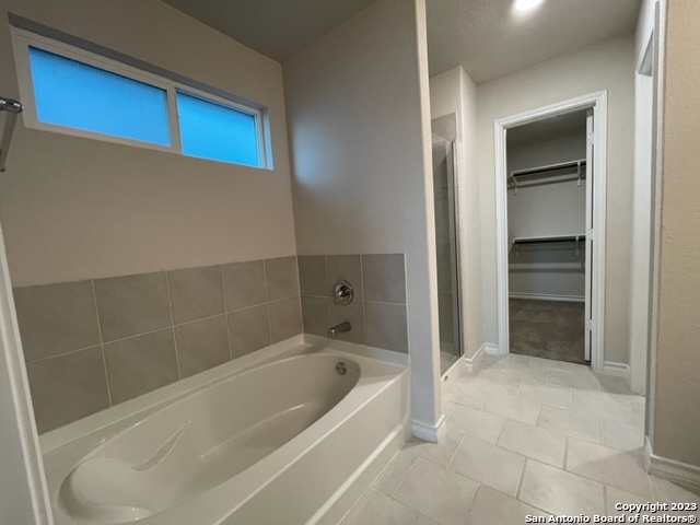 176 Scarlet Macaw San Antonio TX 78253