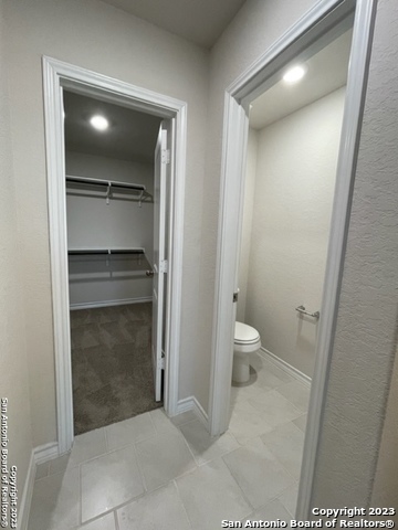 176 Scarlet Macaw San Antonio TX 78253