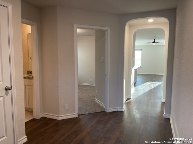 176 Scarlet Macaw San Antonio TX 78253