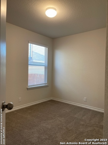 176 Scarlet Macaw San Antonio TX 78253