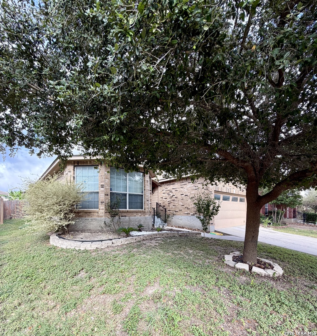 419 Dolly Drive Converse TX 78109