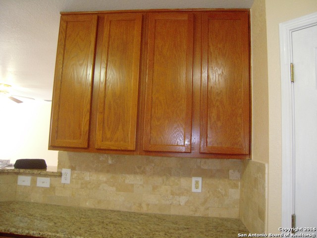 4223 Whitney Green San Antonio TX 78244
