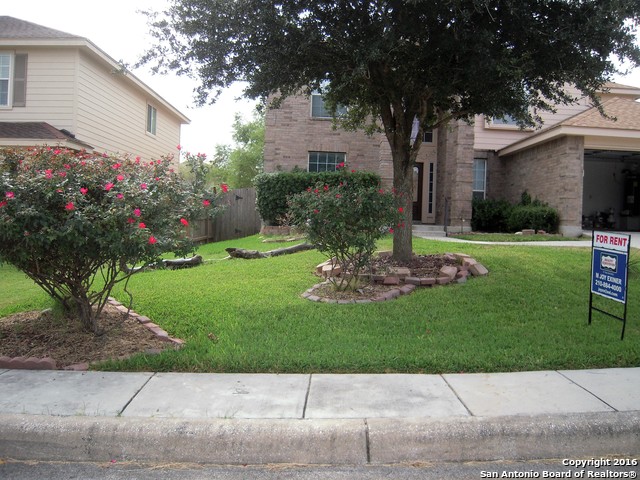 4223 Whitney Green San Antonio TX 78244